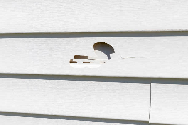 ### Custom Trim and Detailing for Siding